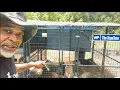 Producers pride 8 x 8 chicken coop conversion
