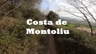 Corriol de la Costa de Montoliu Casserrenca 2022