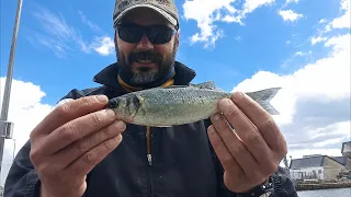 Що на рибалці? fishing