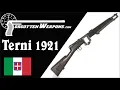 Lagu Terni Model 1921: Italian Interwar Assault Rifle with a Cube Mag