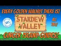 Stardew Valley - How to Find Every Golden Walnut