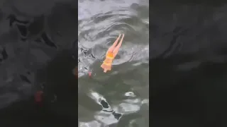 The scenes you see at the public dinghy dock 💀 #sailing #shorts