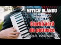 Download Lagu MUZICA DE PETRECERE – ZORILE DIN GALATI SI MITICA BLANDU - CIORBA ACRA DE POTROACE