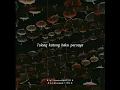 Download Lagu Snap wa  Sayang Jang Marah Marah - R.Angkotasan