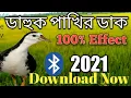 Download Lagu অরিজিনাল ডাহুক পাখির ডাক l পাখির ডাক দিয়ে পাখি শিকার। waterhen bird call.