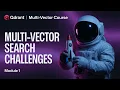 Problems of Multi-Vector Search Qdrant Multi-Vector Search