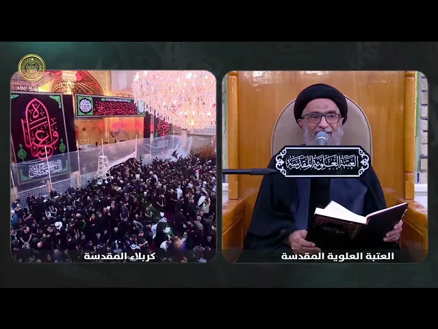 السيد حسين الكربلائي | محاضرات في نهج البلاغة (316)