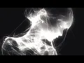 Download Lagu Gebruik dit niet. Je geluk zal volledig uit de hand lopen.