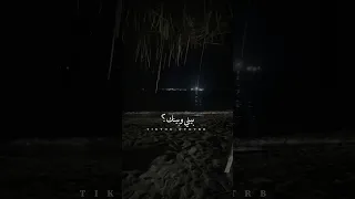 كنت بشتقلك و انا و انت هنا ام كلثوم حالات واتس اب حب حزين 