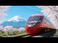2-daagse treinreis naar de berg Fuji | Tokio naar de berg Fuji 🇯🇵