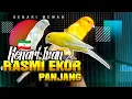 Download Lagu Materi Mewah Kenari Rasmi|Untuk Gantang dan Ternak