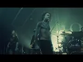 Angelmaker | February 16th, 2025 [Full Set]