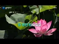 심연의 물고기 - 김연준 노래방 (원키 MR/가사) | QSing