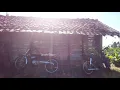 Download Lagu GOMBLOH Lemon Tree's \u0026 SOELIH SOEJATNO • SEBUAH CITA CITA \