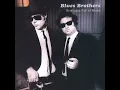 Soul Man (Live) - The Blues Brothers