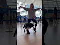 Rhythm \u0026 Roni Sagi are ready to take off! #dance #dogtraining #airport