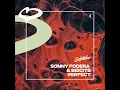 Sonny Fodera & Biscits - Perfect ( Extended Mix )