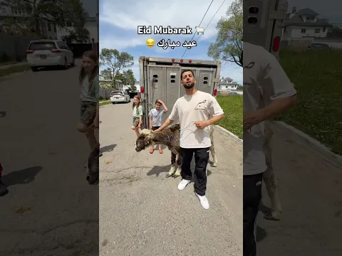 Eid Mubarak 🐑😂 عيد مبارك