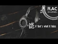 (HQ-FLAC) MR.BIG \