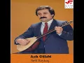 Sefil Baykuş Ne Yatarsın - Aşık Gülabi