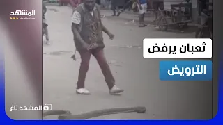 فيديو خطير   رجل تحد ى ثعبان ا سام ا فنال جزاءه أمام الجميع    المشهد تاغ دندنها