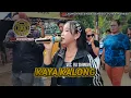 Download Lagu KAYA KALONG‼️VOC. EVI SHANDRA || GRAND LAUNCHING SINGA DANGDUT PUTRA MAHESA