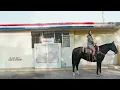 Kacey Musgraves, Willie Nelson - Uncertain, TX (Official Lyric Video)