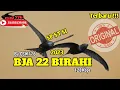 Download Lagu SP ST SI BJA 22 BIRAHI By CSW776 - Suara piyik Perangsang BURUNG WALET Bersarang