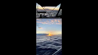 Sunsets