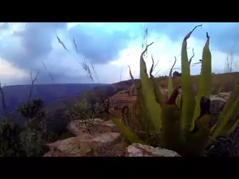 Africa Fusion Official HD Trailer