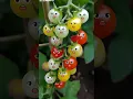 Download Lagu Alif un ba taa un saa. #trending #arabic #alifun_ba #allah #naat #cute #fruitsplanet1 #yt #shorts