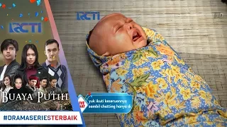 buaya putih kelahiran anak ranum setengah siluman 12 desember 2017 