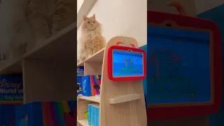 ディズニー英語システム Dwe Dweユーザー ディズニー英語 おうち英語 タッチバージョン タブレットバージョン Dweタブレット Dweタブレット化 Love Wfc 