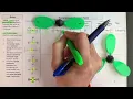 VSEPR for two three and four electron groups - electron geometries and molecular geometries