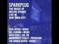 Sparkplug