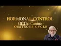 CANINE OESTROUS CYCLE HORMONAL CONTROL