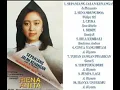 Download Lagu Riena Anita - Aku Jatuh Cinta