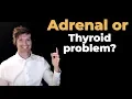 Adrenal Symptoms vs Thyroid Symptoms Don t Get Confused