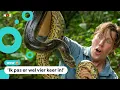 Download Lagu Freek Vonk ontdekt nieuwe slangensoort