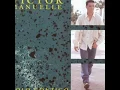 Voy A Prometerme - Victor Manuelle