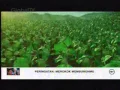 Download Lagu Globaltv La Menthol 22 46 (09/03)