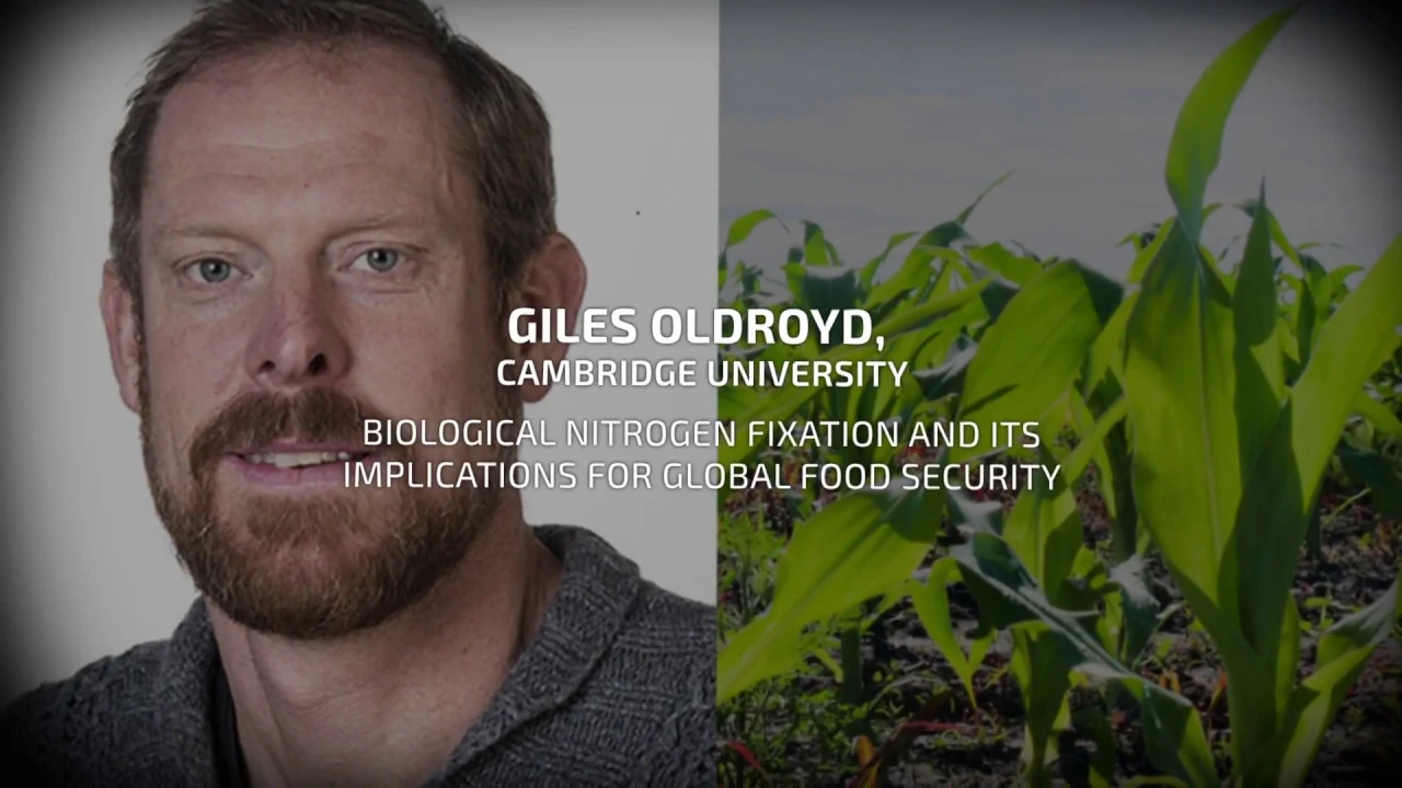 GIFSconf18 Biological Nitrogen Fixation & Its Implications For Global Food Security by Giles Oldroyd