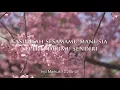 Download Lagu Kasihilah sesamamu manusia seperti dirimu sendiri
