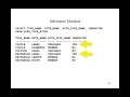 Type Inheritance Oracle Database