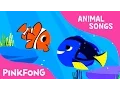 Download Lagu Clown Fish, Bluetang | Tropical Fish | Animal Songs | Pinkfong Songs for Children