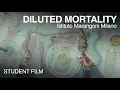 Diluted Mortality A Fashion Film by Viviana Buvinic Ruz IM Milano