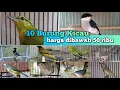 Download Lagu 10 Jenis Burung dibawah 50 ribu