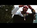 VilleGod - Pedigree