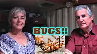 BUGS On A Boat!! What To Do??