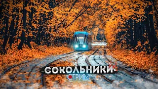 Сокольники — СТРИМ